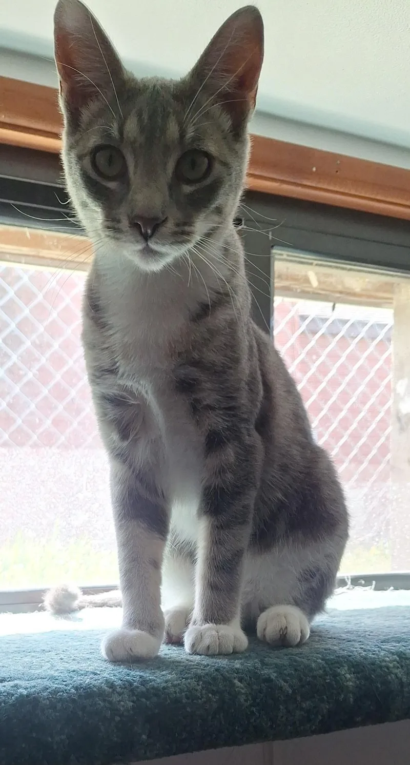 Pina Colada thumbnail 2