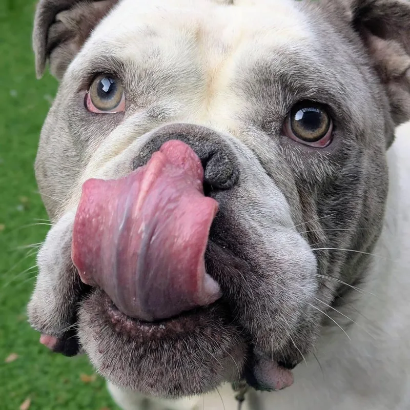 Mr. Snuggles thumbnail 2