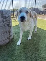 Murphy thumbnail 2