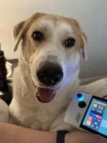 Murphy thumbnail 5