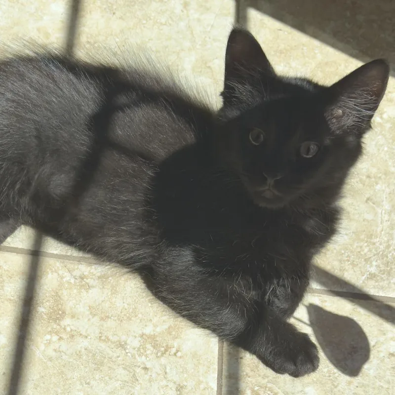 Zoey thumbnail 4