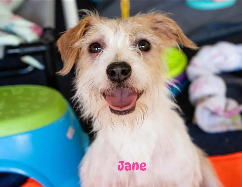 Jane Jetson thumbnail 2