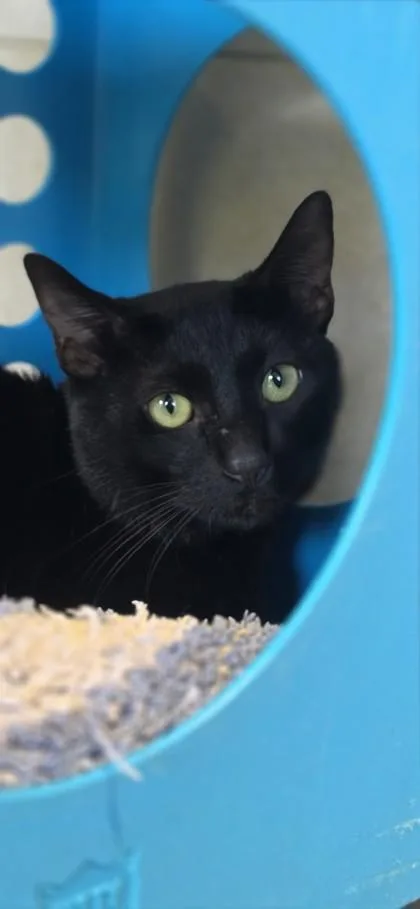 Little Guy thumbnail 2