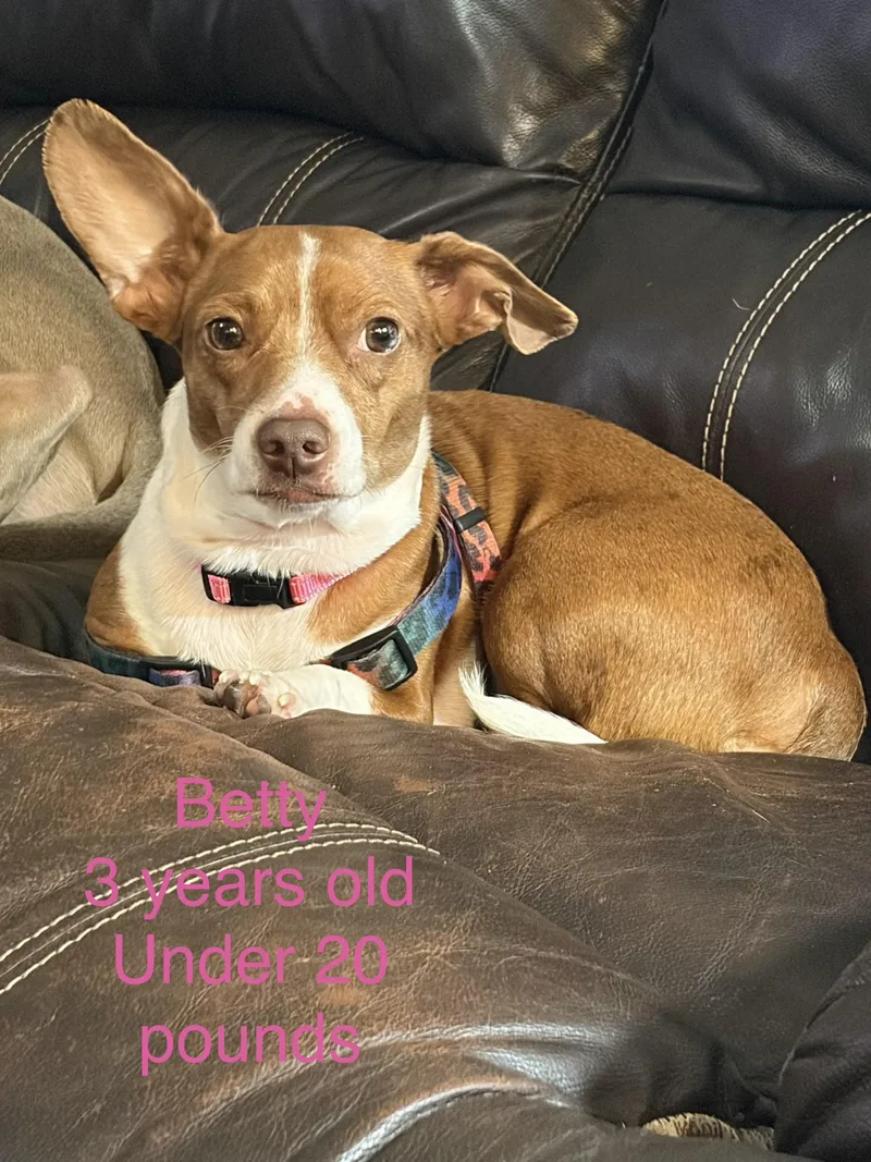 Betty thumbnail 2