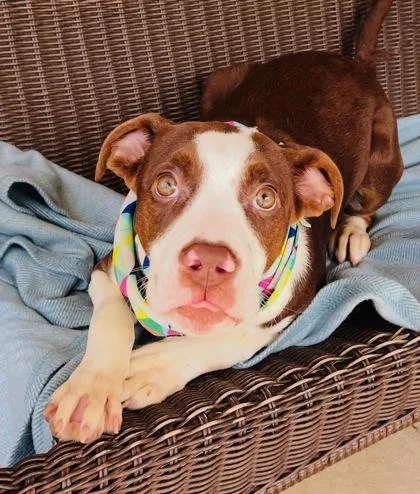 Penelope $ thumbnail 2