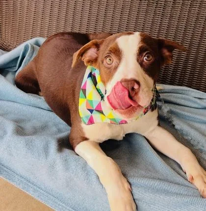 Penelope $ thumbnail 3