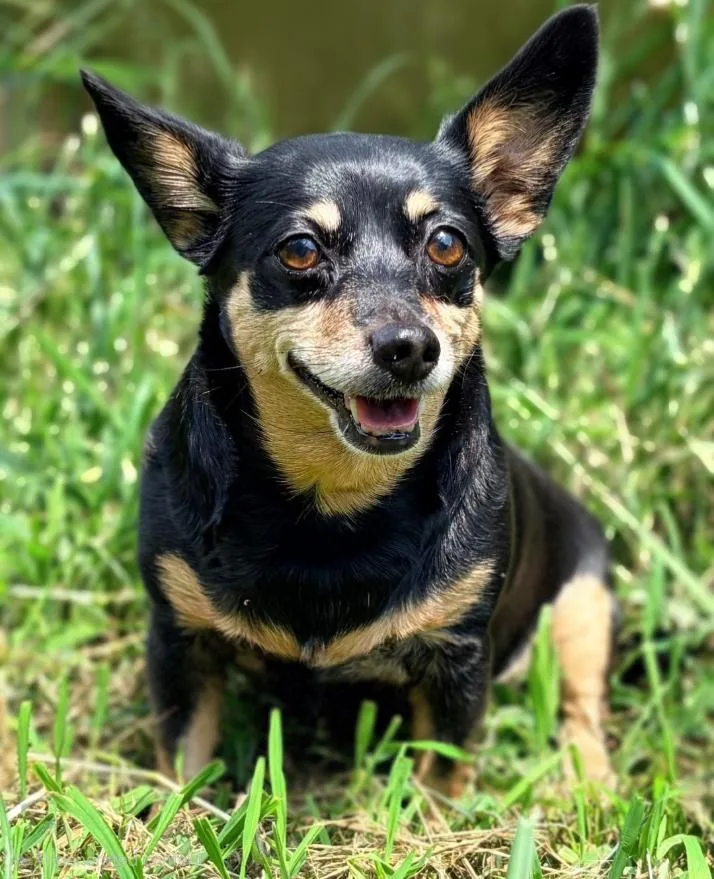 Millie