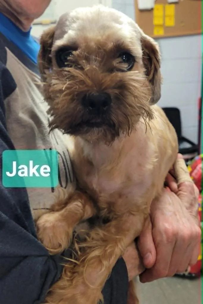 Jake