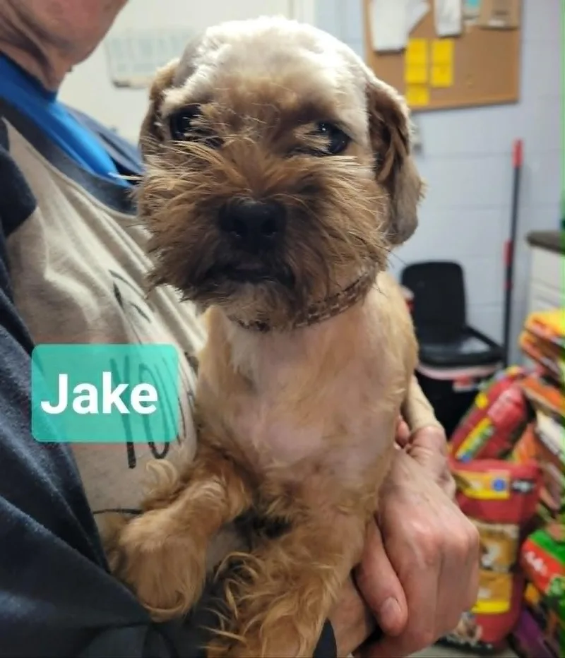 Jake thumbnail 2