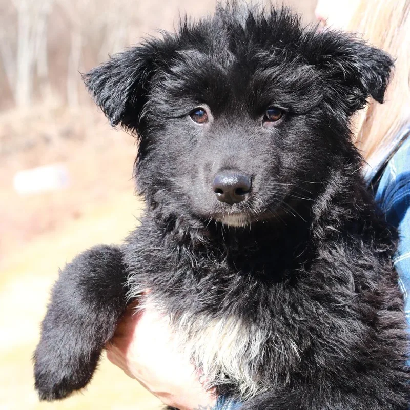 Ct Larry thumbnail 2