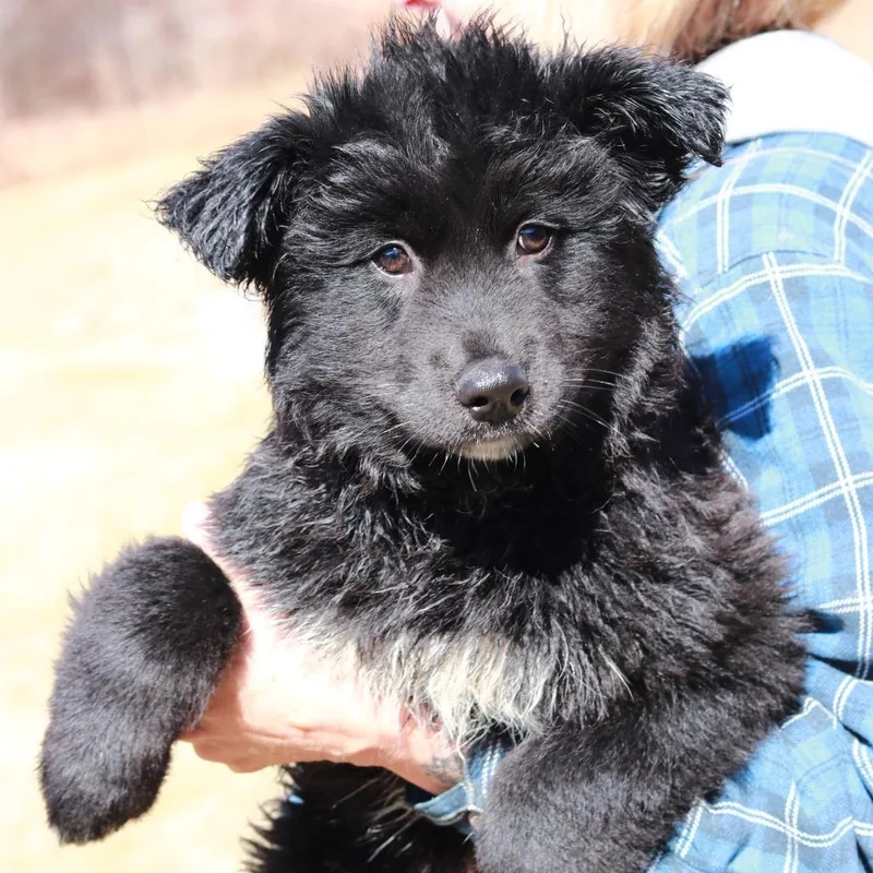 Ct Larry thumbnail 3