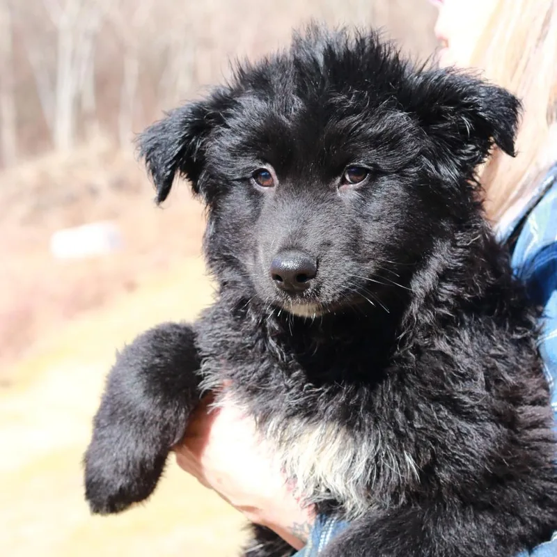 Ct Larry thumbnail 5