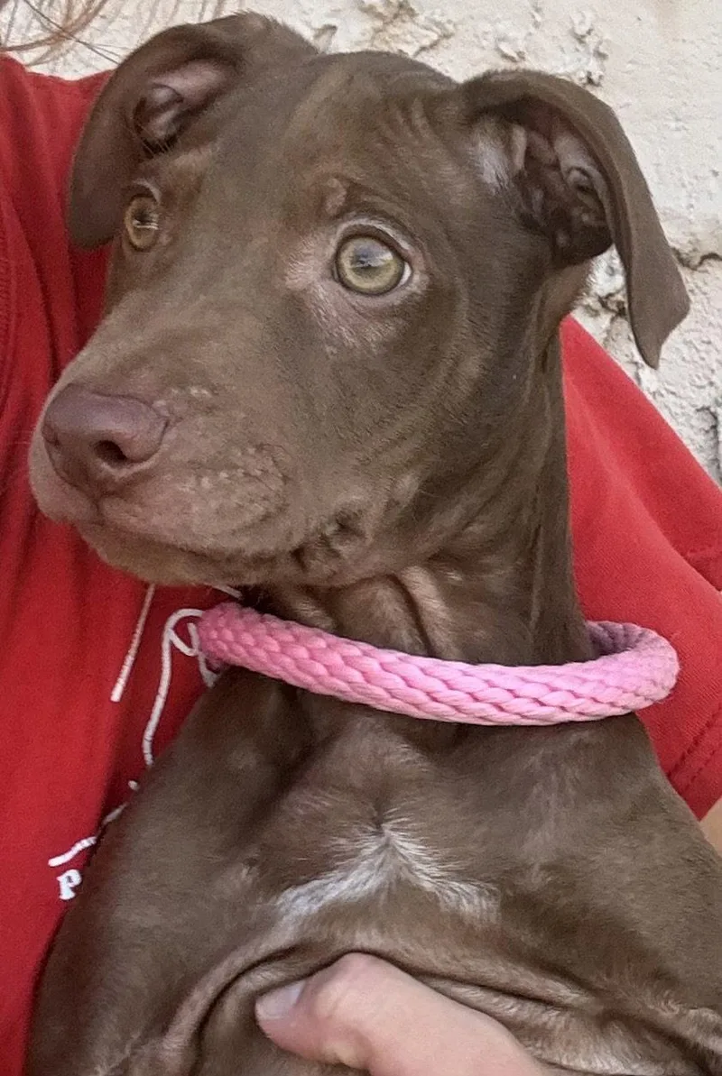 Fairwinds thumbnail 2