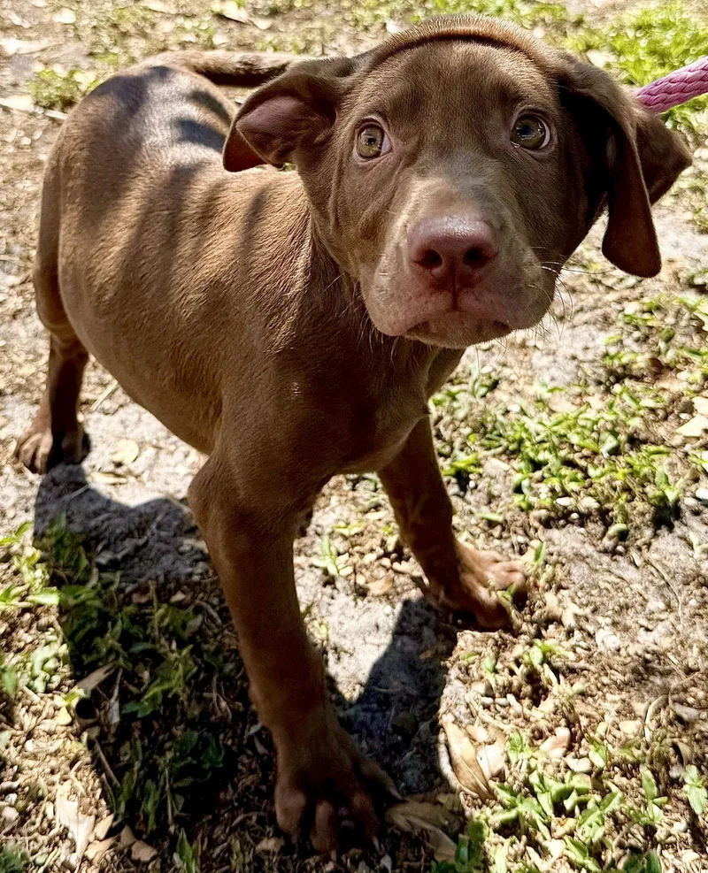 Fairwinds thumbnail 3