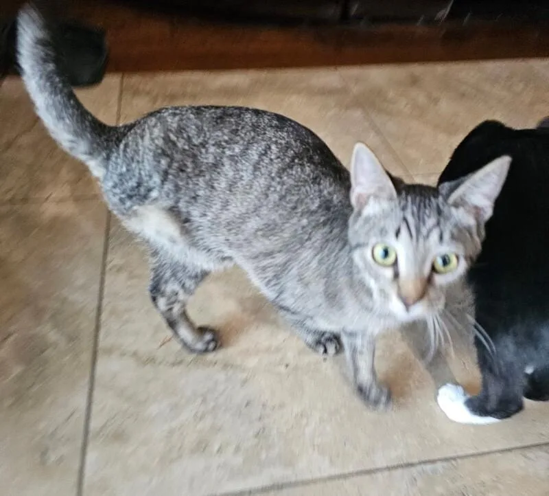 Bread Pudding Bonded With