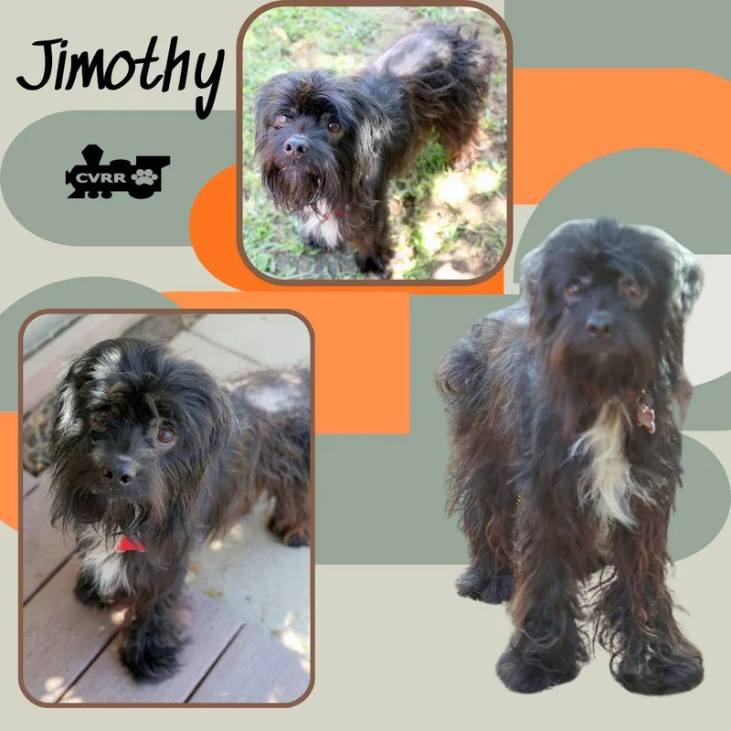 Jimothy