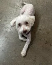 Maggie thumbnail 2