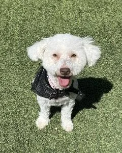 Maggie thumbnail 3