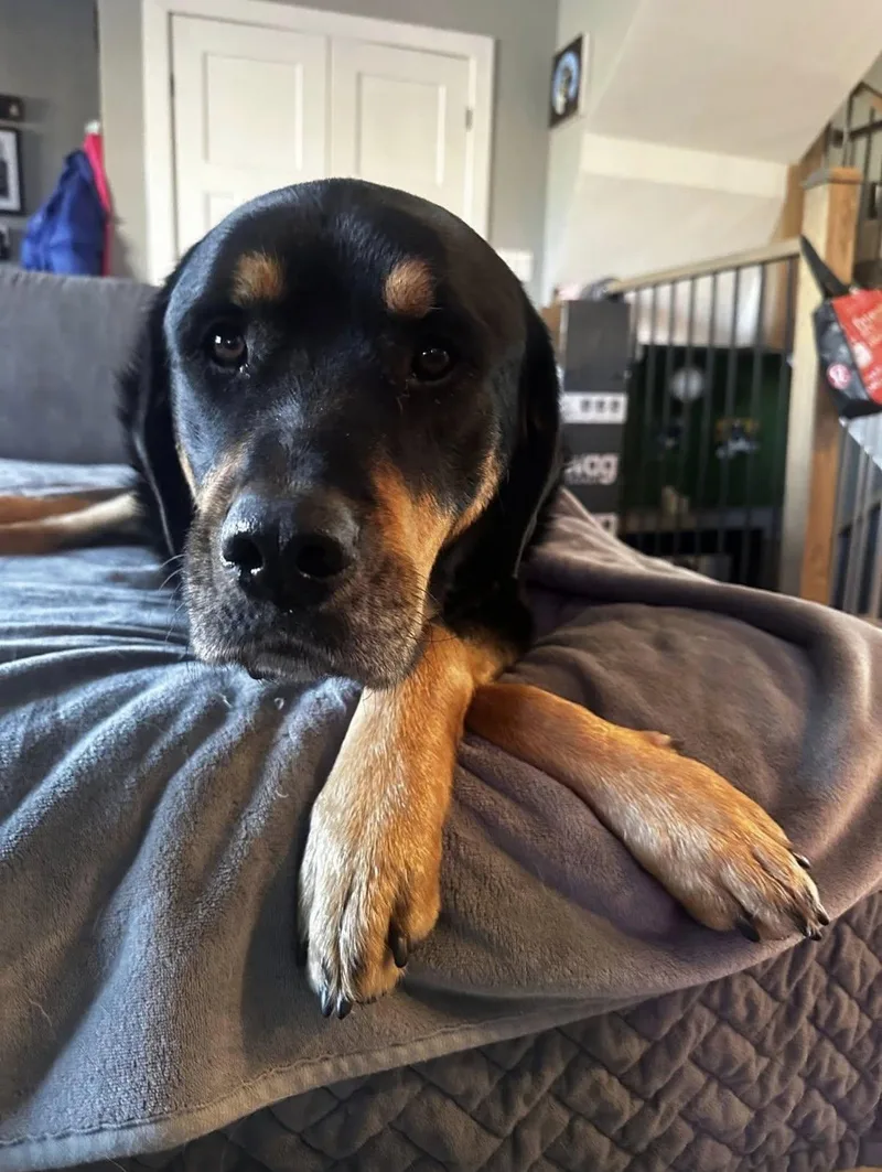 Mavis And Hayes  thumbnail 4