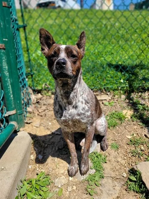 Millie