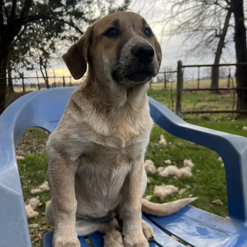 Princess Priya thumbnail 2