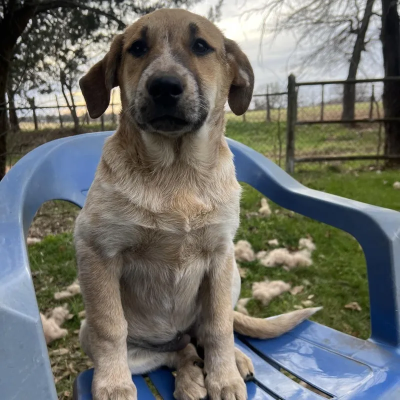 Princess Priya thumbnail 3