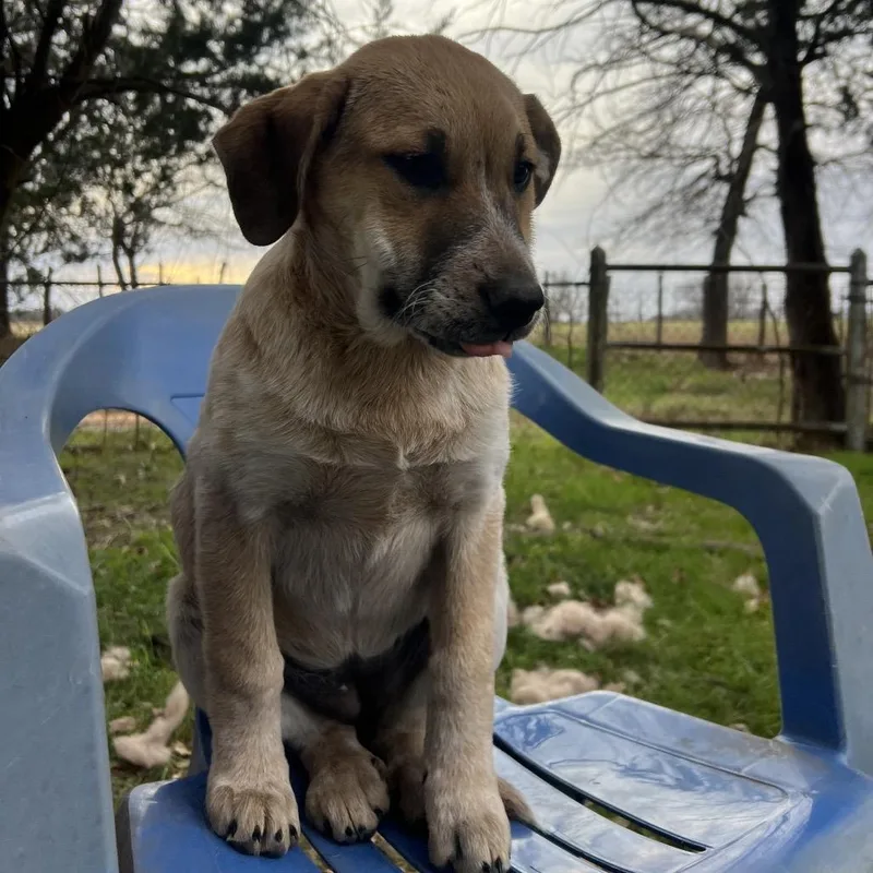 Princess Priya thumbnail 5