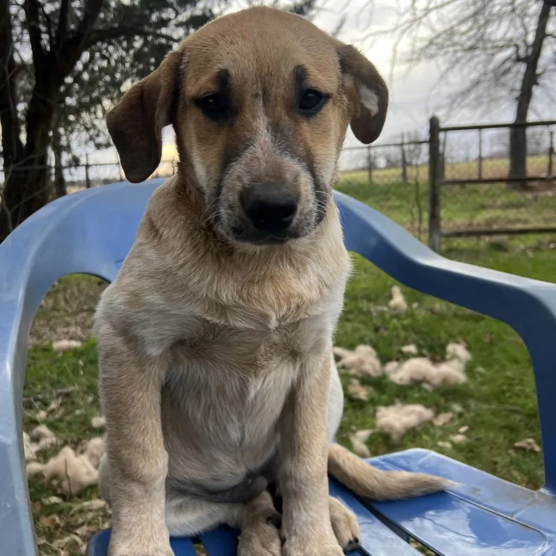 Princess Priya thumbnail 6