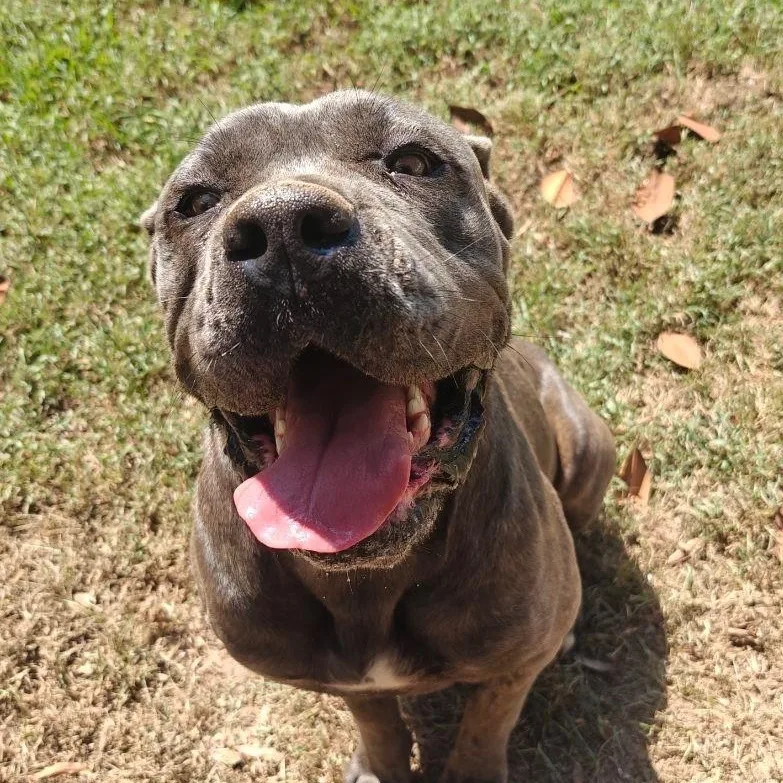 Keiko