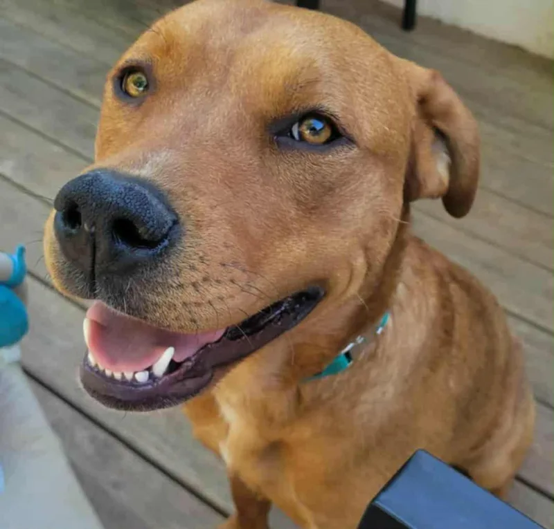 Sally Cl thumbnail 2