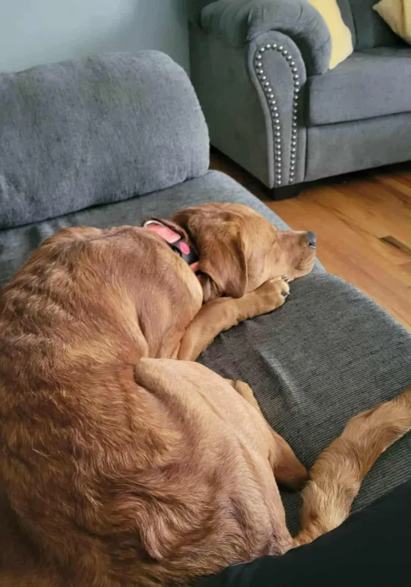 Sally Cl thumbnail 3