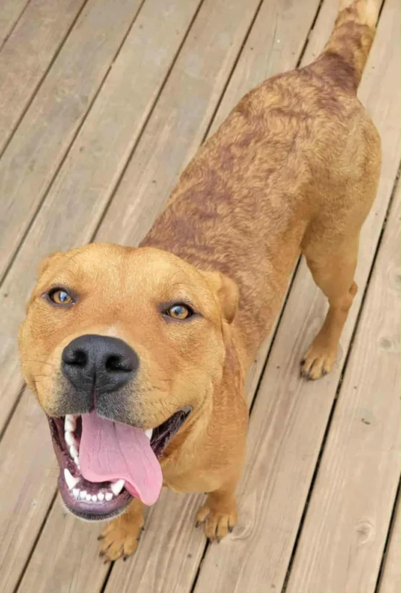 Sally Cl thumbnail 4