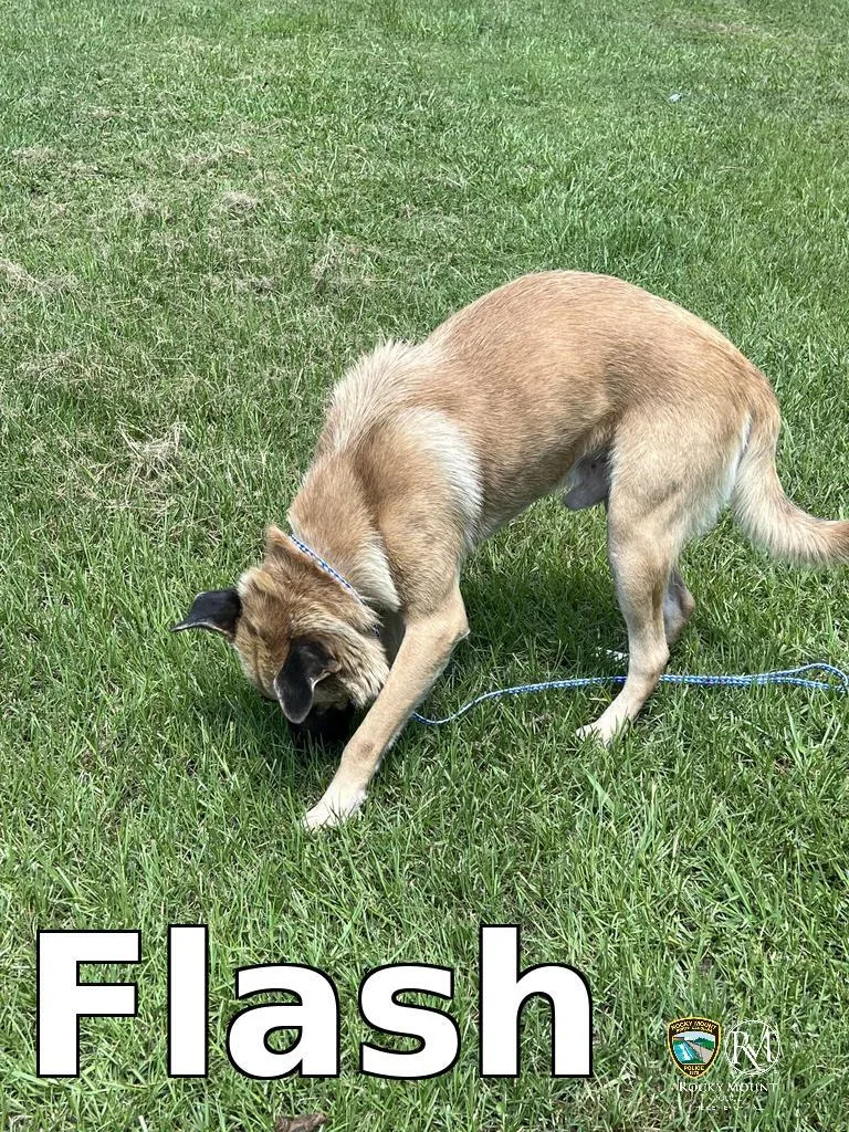 Flash thumbnail 2