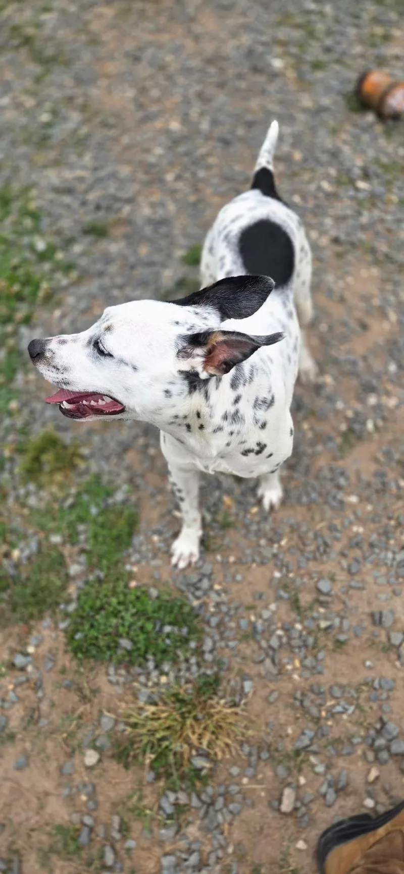 Missy thumbnail 3