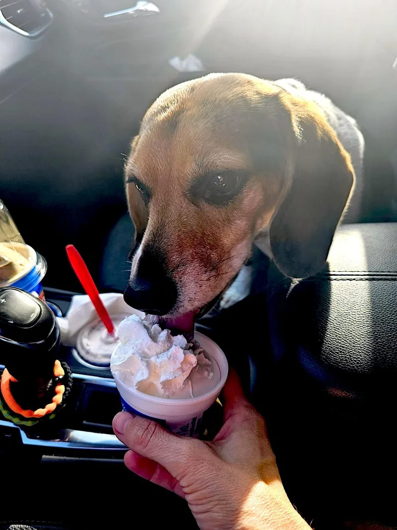 Daisy Mae thumbnail 6