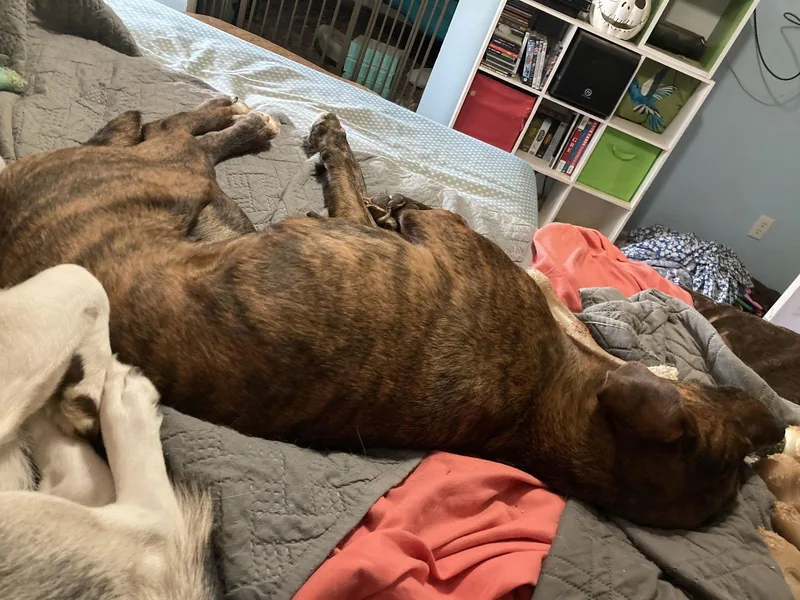 Little Swirl thumbnail 2