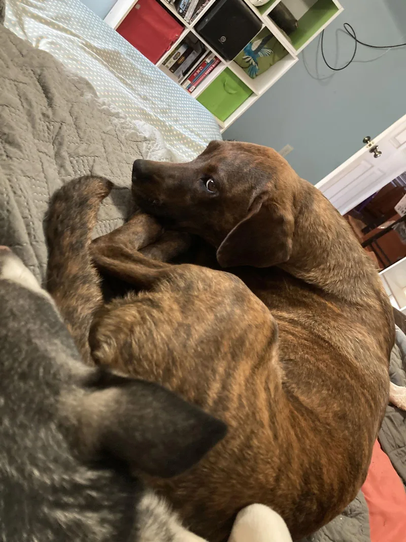 Little Swirl thumbnail 3