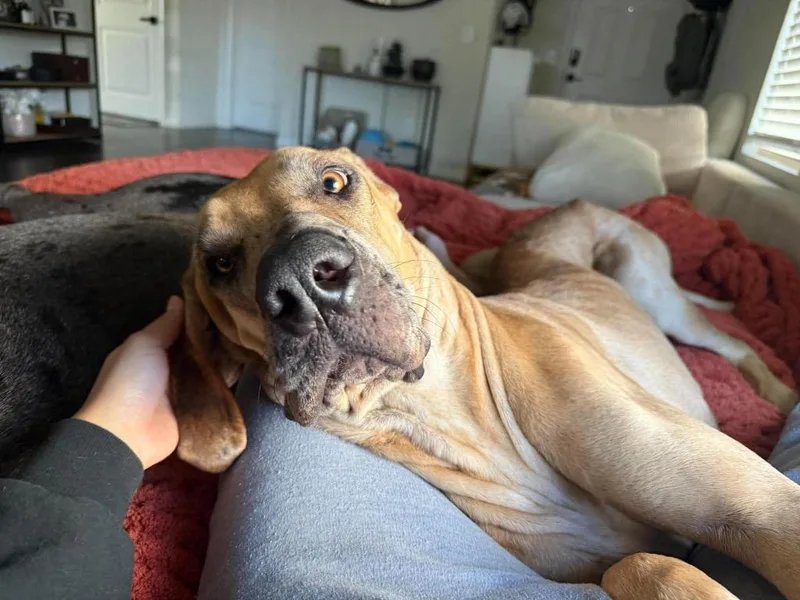 Indy Mae thumbnail 3