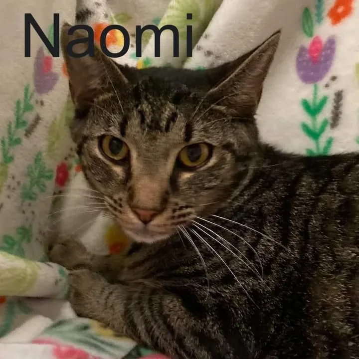 Naomi thumbnail 3