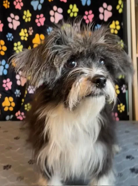 Edna Mae thumbnail 2