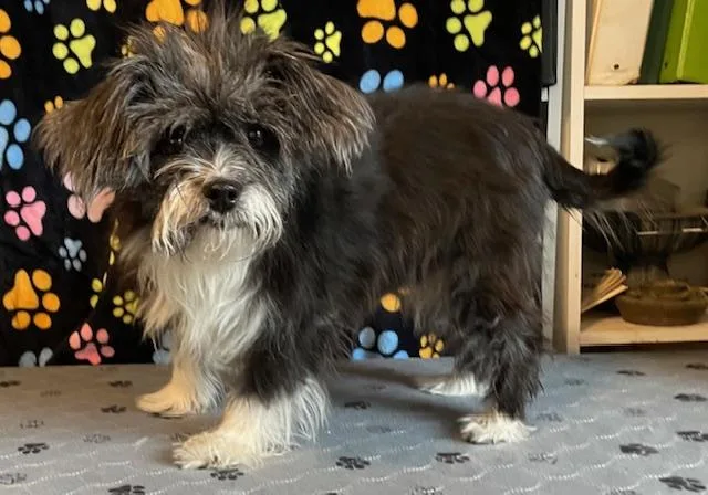 Edna Mae thumbnail 3