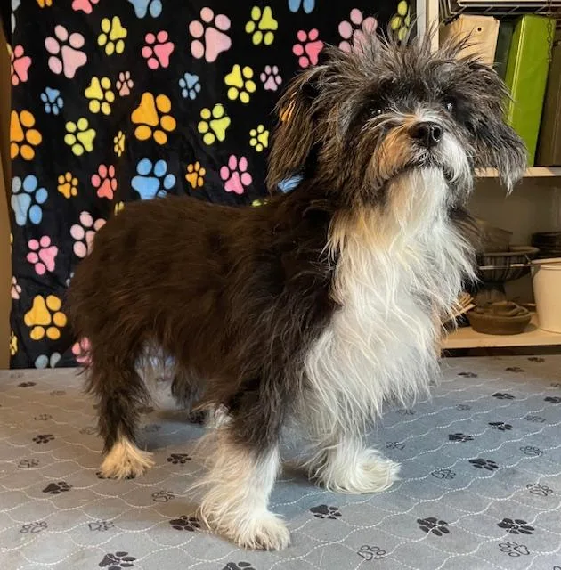 Edna Mae thumbnail 4