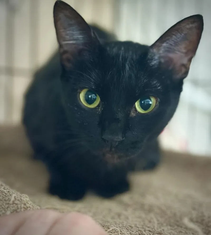 Hather Aka Highway Hattie thumbnail 3