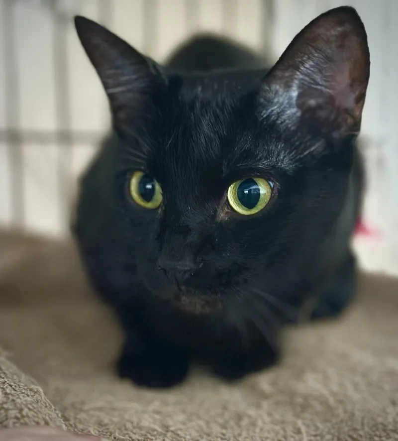 Hather Aka Highway Hattie thumbnail 6