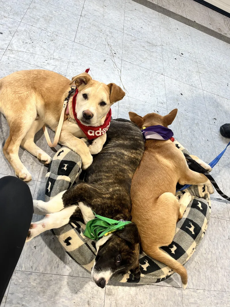 Hooch Spirits  Local thumbnail 3