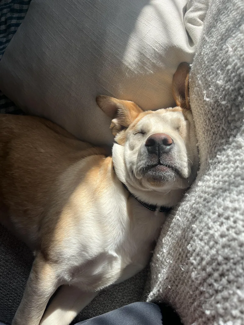 Hooch Spirits  Local thumbnail 4