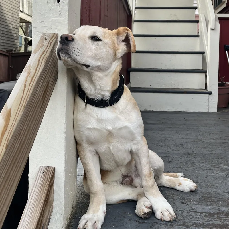 Hooch Spirits  Local thumbnail 5