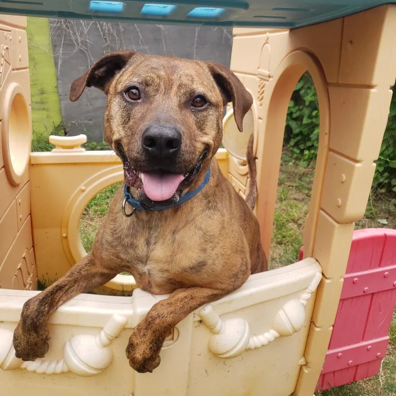 Mellie Mel thumbnail 2