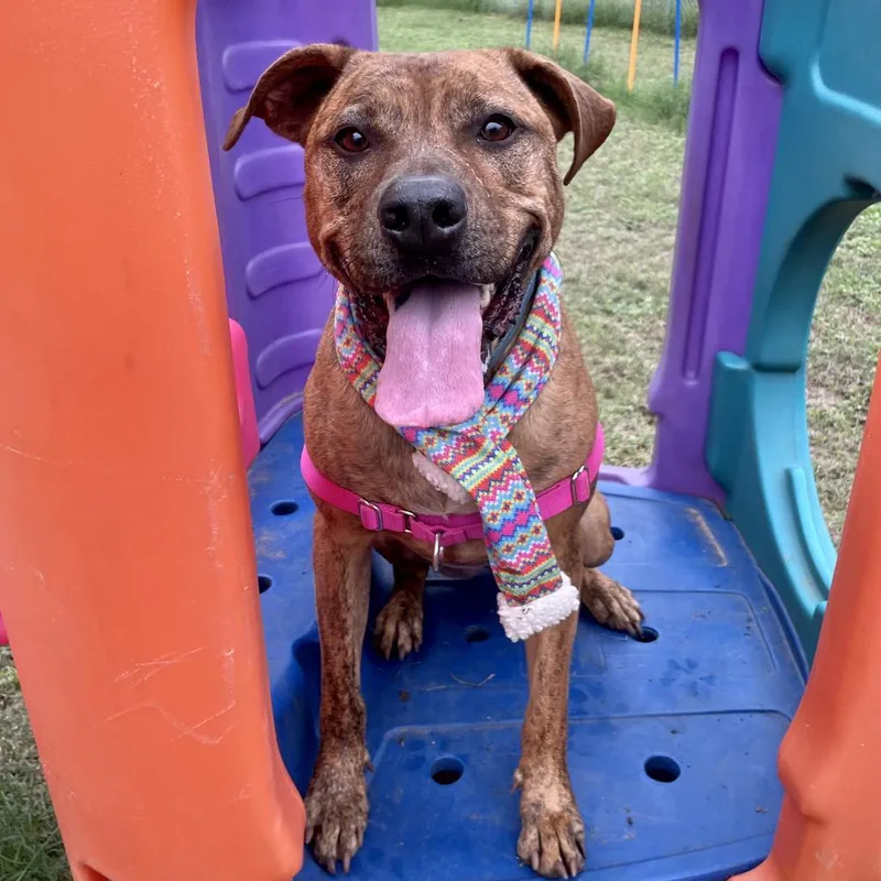 Mellie Mel thumbnail 4