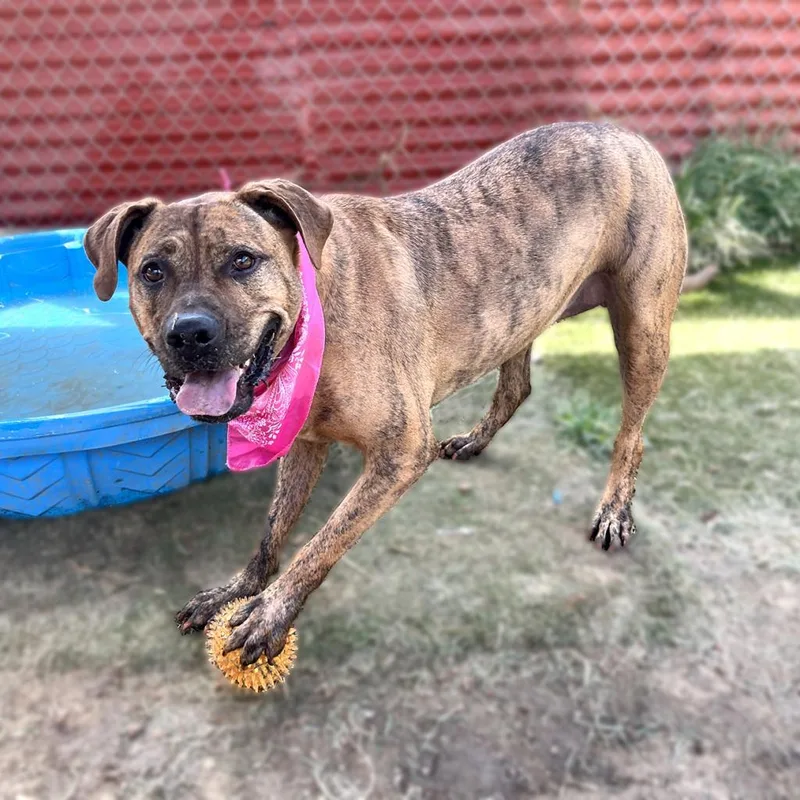 Mellie Mel thumbnail 5